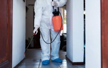 Expert Biohazard Cleanup: Handling Bloodborne Pathogens Safely