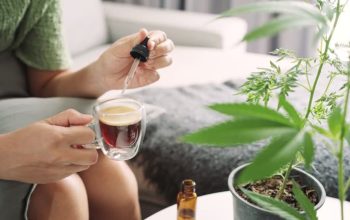 How to Shop for Premium Full-Spectrum CBD Oil Effectively